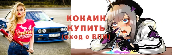 гидра Пересвет