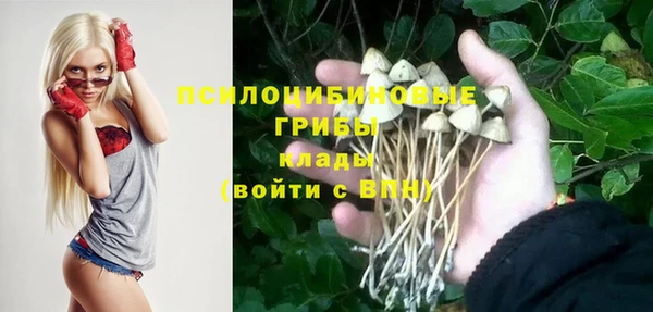 мяу мяу мука Балабаново