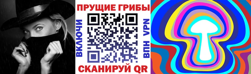 Псилоцибиновые грибы GOLDEN TEACHER  Тихвин 